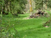 thumb-CarefreeAcres08.jpg