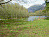 thumb-CarefreeAcres10.jpg
