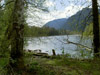 thumb-CarefreeAcres12.jpg