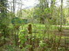 thumb-CarefreeAcres14.jpg